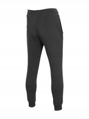 Спортивные штаны 4F, серые, размер M цена и информация | Мужская спортивная одежда | 220.lv