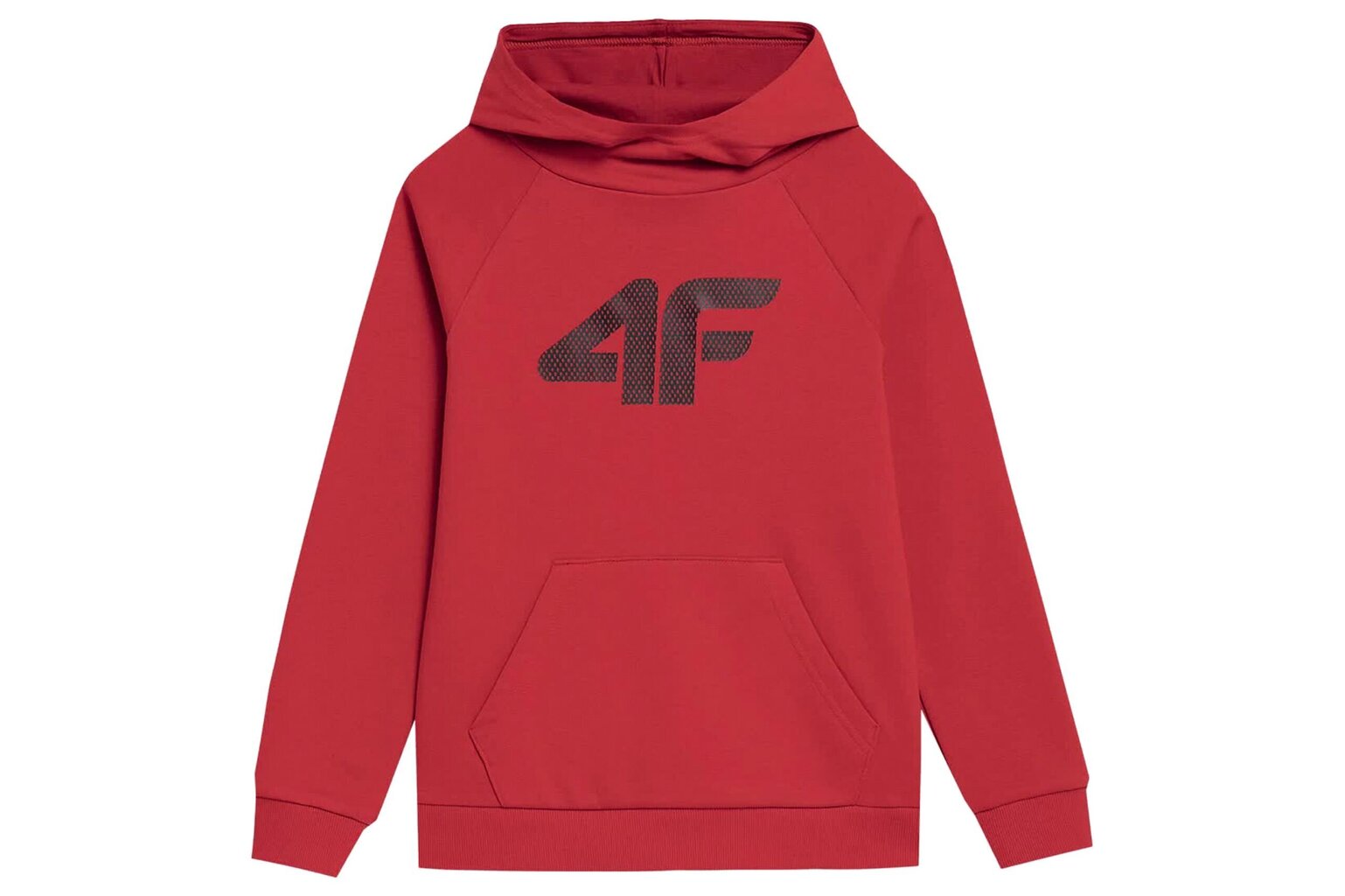 Sporta džemperis zēniem 4F M220, sarkana cena un informācija | Zēnu jakas, džemperi, žaketes, vestes | 220.lv