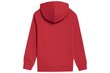 Sporta džemperis zēniem 4F M220, sarkana cena un informācija | Zēnu jakas, džemperi, žaketes, vestes | 220.lv