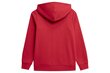 Jaka zēniem 4F M219, sarkana cena un informācija | Zēnu jakas, džemperi, žaketes, vestes | 220.lv