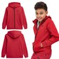 Jaka zēniem 4F M219, sarkana cena un informācija | Zēnu jakas, džemperi, žaketes, vestes | 220.lv