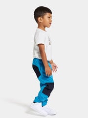 Didriksons весенне-осенние детские штаны softshell BLÅBÄR, синего цвета цена и информация | Штаны для мальчиков | 220.lv