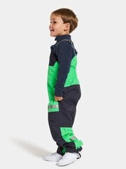 Детские утепленные брюки Didriksons весна-осень CLOUD, зелено-черный цвет цена и информация | Штаны для мальчиков | 220.lv