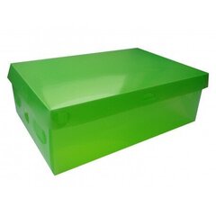 Apavu kaste ar vāku 18 x 28 x 10 cm zaļa cena un informācija | Veļas grozi un mantu uzglabāšanas kastes | 220.lv