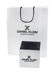 daniel klein эксклюзивные мужские часы 12146-4 (zl002e) + коробка цена и информация | Мужские часы | 220.lv