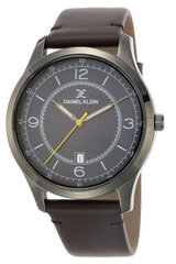 мужские часы daniel klein 12243-3 - магнитная застежка (zl006d) + коробка цена и информация | Мужские часы | 220.lv