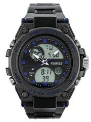 мужские часы perfect a8047 (zp311b) цена и информация | Мужские часы | 220.lv