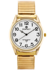 мужские часы perfect a8047 (zp311c) цена и информация | Perfect Товары для детей и младенцев | 220.lv