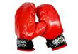 Bērnu boksa komplekts Kings Sport Star Boxing, sarkans cena un informācija | Bokss un austrumu cīņas | 220.lv
