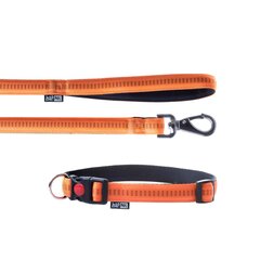 Pavada+apkakle Soft Style Happet oranžs S 1cm cena un informācija | Suņu pavadas | 220.lv