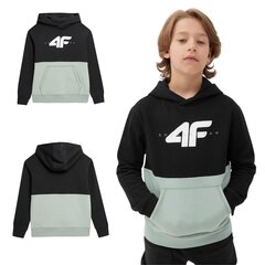 Детская футболка 4F, цвет черный/зеленый, р. 164 4FJAW23TSWSM62847S_164 цена и информация | Свитеры, жилетки, пиджаки для мальчиков | 220.lv