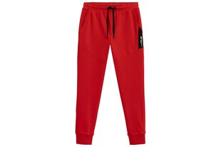 4F Детские штаны, красный, размер 158 4FJSS23TTROM132_CZERWONY_158 цена и информация | Штаны для мальчиков | 220.lv