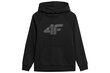 Džemperis zēniem 4F 4FJSS23TSWSM220, melns cena un informācija | Zēnu jakas, džemperi, žaketes, vestes | 220.lv