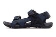 Sandales vīriešiem 4F 4FSS23FSANM018, zilas cena un informācija | Vīriešu iešļūcenes, čības, sandales | 220.lv