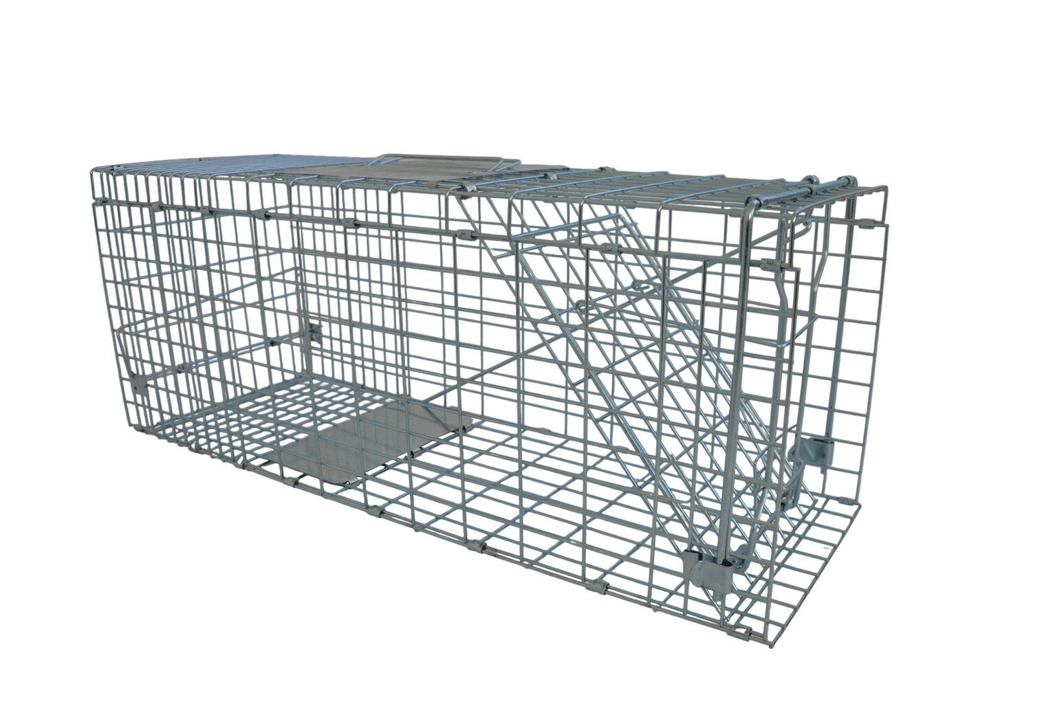 Slazds caunām un žurkām, 66x23x26 cm cena un informācija | Medību piederumi | 220.lv