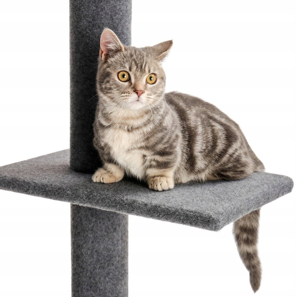 Pet Cat Tree kaķu statīvs, 228 cm cena un informācija | Kaķu mājas, nagu asināmie | 220.lv