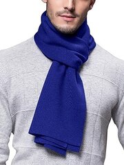 Шарф мужской "Chic Gentleman", 180 х 30 см, синий цена и информация | Мужские шарфы, шапки, перчатки | 220.lv