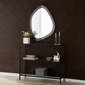 Spogulis Asir, 58x75 cm, caurspīdīgs cena un informācija | Spoguļi | 220.lv