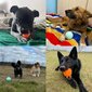 Suņu bumba Explorer Dog, 8 cm цена и информация | Suņu rotaļlietas | 220.lv
