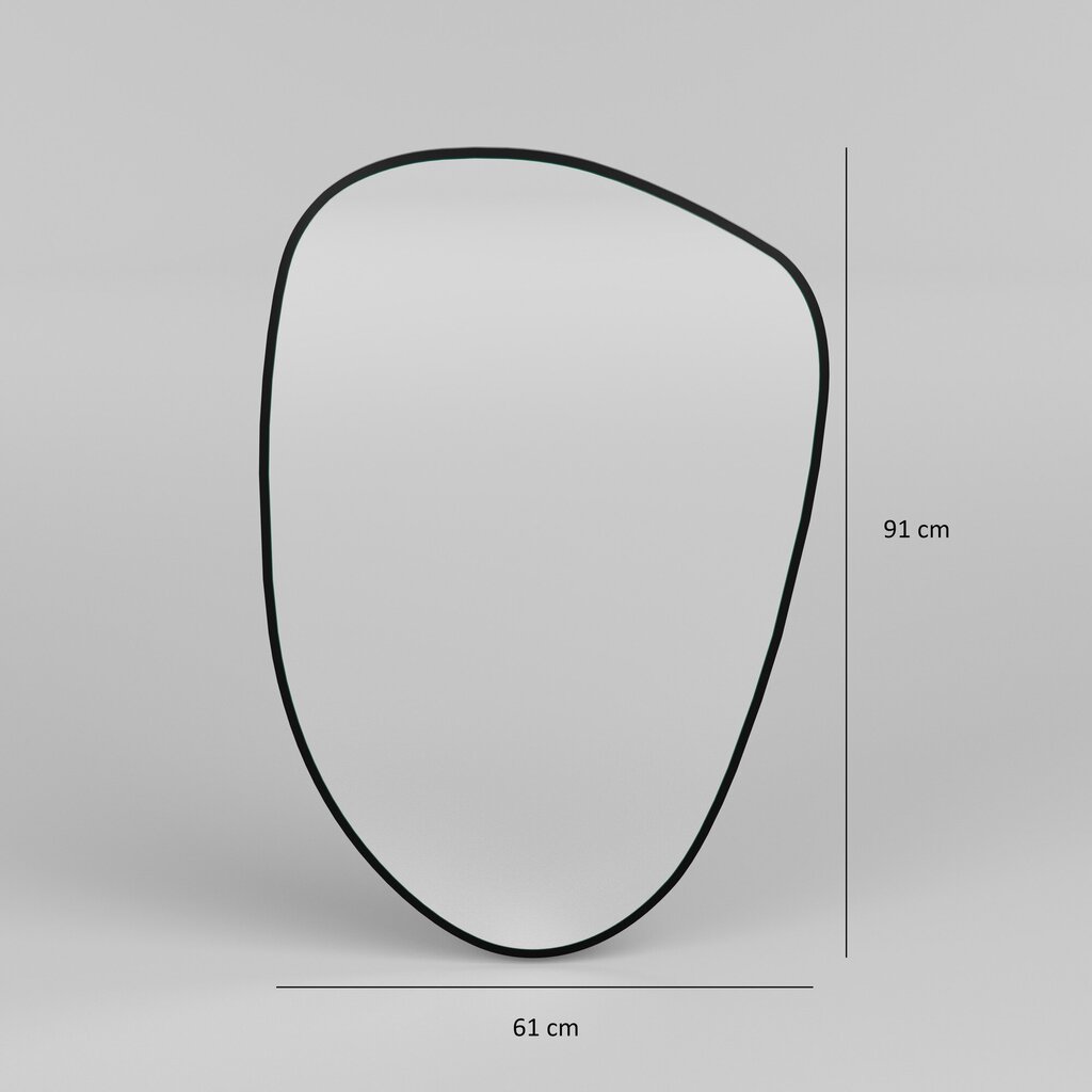 Spogulis Asir, 91x61 cm, melns cena un informācija | Spoguļi | 220.lv