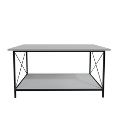 Кофейный столик, Асир, 110x50x50 см, белый/черный цена и информация | Журнальные столики | 220.lv