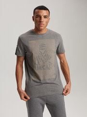 футболка дкр d 0823 s1824 - серый меланж цена и информация | Мужские футболки | 220.lv