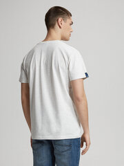 футболка assaj vii s1816 - белый меланж цена и информация | Мужские футболки | 220.lv