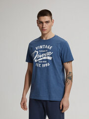 футболка assaj vii s1816 - темно-синий меланж цена и информация | Мужские футболки | 220.lv