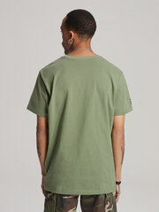 T-krekls vīriešiem Diverse s1818, zaļš cena un informācija | Vīriešu T-krekli | 220.lv