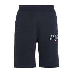 Шорты мужские Tommy Hilfiger 79654, черные цена и информация | Мужские шорты | 220.lv