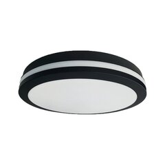 Потолочный светильник Eko-Light Marlon EKP0475 цена и информация | Потолочные светильники | 220.lv