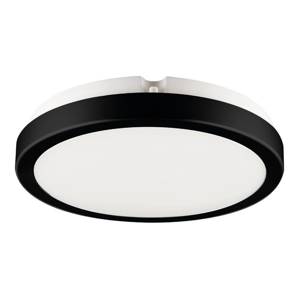 Eko-Light griestu lampa Vera EKP0471 цена и информация | Griestu lampas | 220.lv