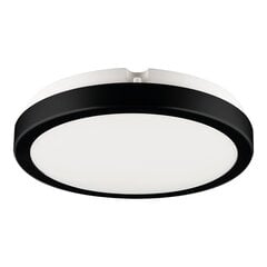 Eko-Light griestu lampa Vera EKP0471 cena un informācija | Griestu lampas | 220.lv