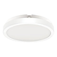 Eko-Light griestu lampa Vera EKP0470 цена и информация | Потолочные светильники | 220.lv