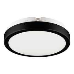 Eko-Light griestu lampa Vera EKP0469 цена и информация | Потолочные светильники | 220.lv
