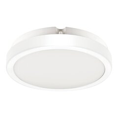 Eko-Light griestu lampa Vera EKP0468 цена и информация | Потолочные светильники | 220.lv