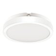 Eko-Light griestu lampa Vera EKP0468