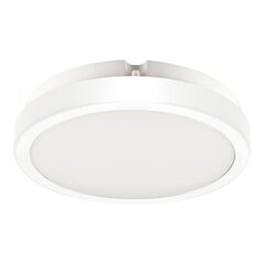 Eko-Light griestu lampa Vera EKP0468 цена и информация | Потолочные светильники | 220.lv