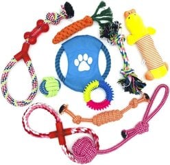 Набор игрушек для собак - Sergio, 10 шт. цена и информация | Игрушки для собак | 220.lv