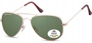 Мужские солнцезащитные очки UV Polarised Pilot Sunglasses Men's + Gratis MP94E цена и информация | Женские солнцезащитные очки | 220.lv