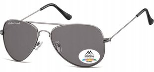 Мужские солнцезащитные очки UV Polarised Pilot Sunglasses Men's + Gratis MP94 цена и информация | Женские солнцезащитные очки | 220.lv