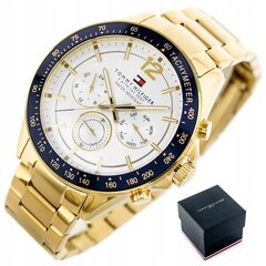 Pulkstenis vīriešiem Tommy Hilfiger 1791121 цена и информация | Мужские часы | 220.lv