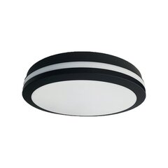 Eko-Light griestu lampa Marlon EKP0474 цена и информация | Потолочные светильники | 220.lv