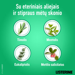 Mutes skalojamais līdzeklis Listerine Fresh Burst, 250 ml cena un informācija | Zobu pastas, birstes | 220.lv