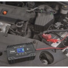 Зарядное устройство для автомобильного аккумулятора, 12/24V цена и информация | Автомобильные электропринадлежности 12V | 220.lv