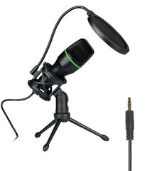 Студийный конденсаторный микрофон, Electronics LV-217, 1 шт цена и информация | Микрофоны | 220.lv