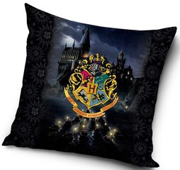 Декоративная подушка Harry Potter  40*40 cm цена и информация | Декоративные подушки и наволочки | 220.lv