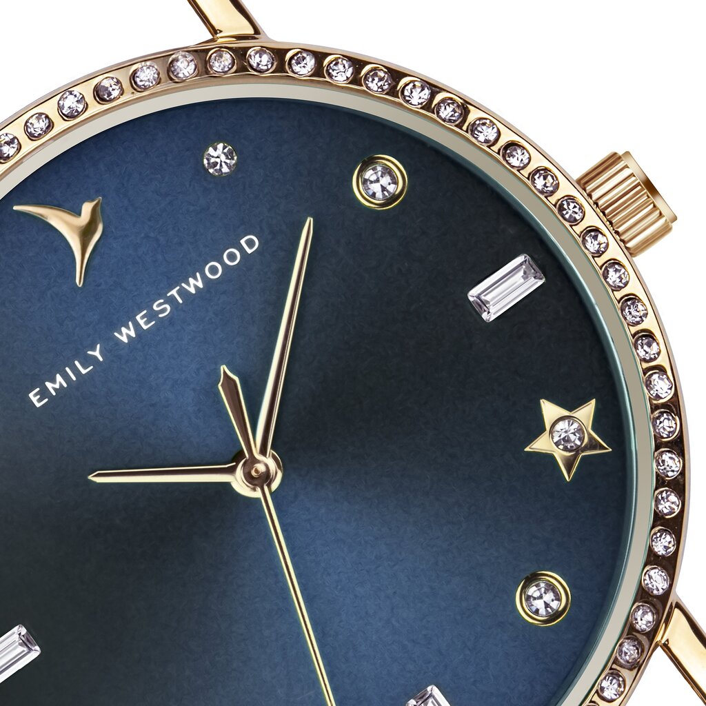 Pulkstenis Emily Westwood EGE-4218RQ цена и информация | Sieviešu pulksteņi | 220.lv