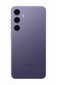 Samsung Galaxy S24+ 5G 12/256GB SM-S926BZVDEUE Cobalt Violet цена и информация | Mobilie telefoni | 220.lv