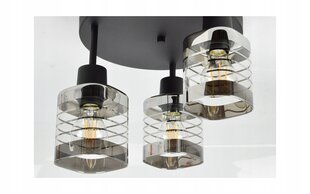 Griestu lampa ar stikla pārsegiem цена и информация | Потолочные светильники | 220.lv